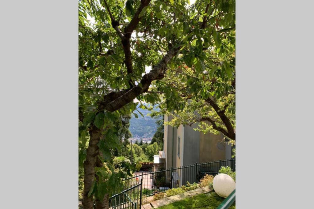 شقة بروناتي  في The Cherry Garden House Loft Lusso المظهر الخارجي الصورة